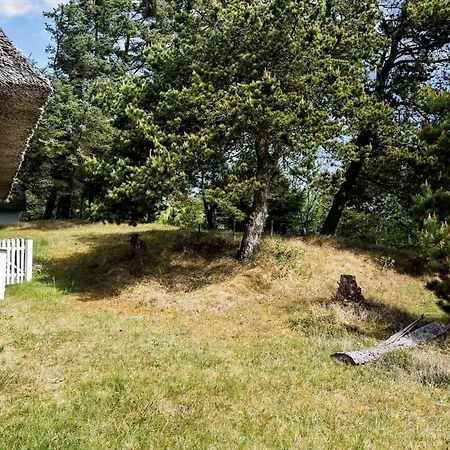 Holiday home 10124-ulfborg-havbjerge-8 Ohuse